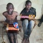 Four Arrested Over Attempted Transformer Vandalism in Thyolo