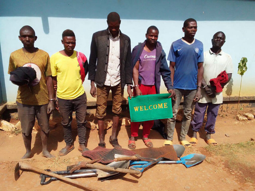 Six Arrested for Illegal Mining in Chitipa Forest