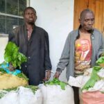 Police Rescue Two Suspected Vegetable Thieves from Angry Mob in Monkey Bay