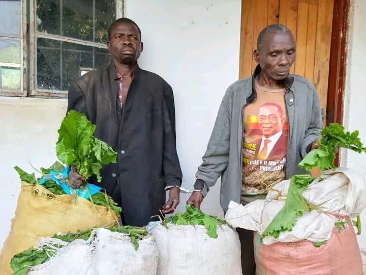 Police Rescue Two Suspected Vegetable Thieves from Angry Mob in Monkey Bay