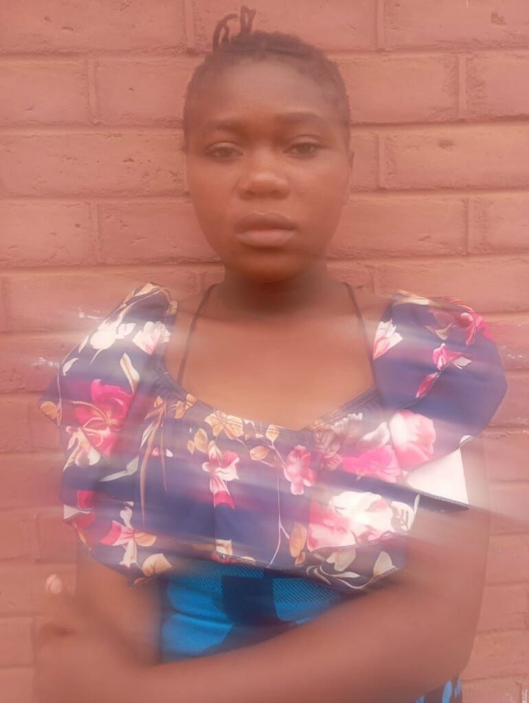 Woman Jailed 12 Months for Stealing One-Month-Old Baby in Ntcheu