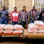 Five Arrested Over K2.4 Million Cement Fraud in Lilongwe