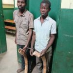 Police Arrest Two Suspects with Elephant Tusks in Nchalo